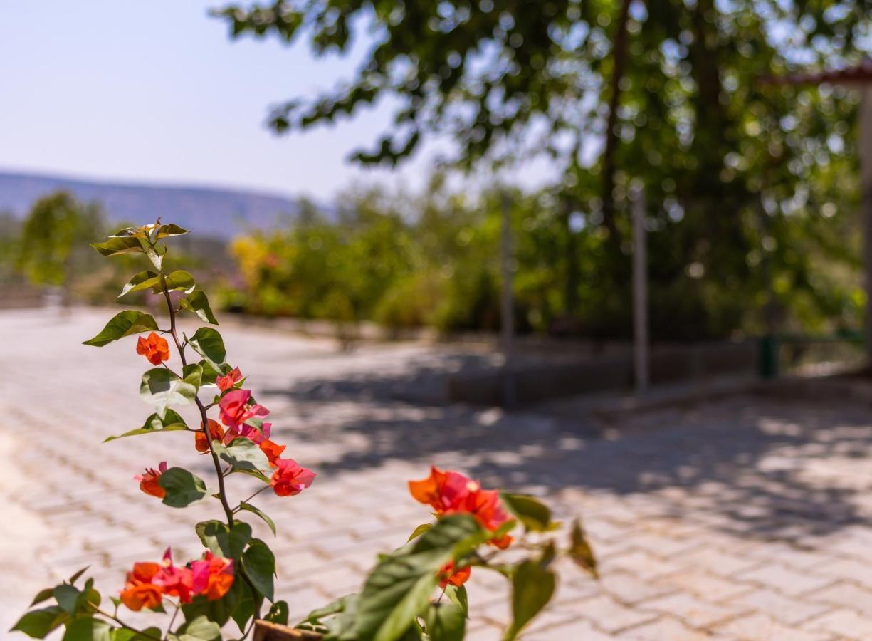 Agach Aparts-Savran Milas Bagian luar foto